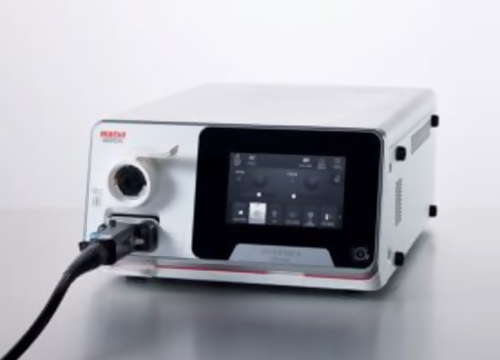 Sistema digestivo Sistema digestivo